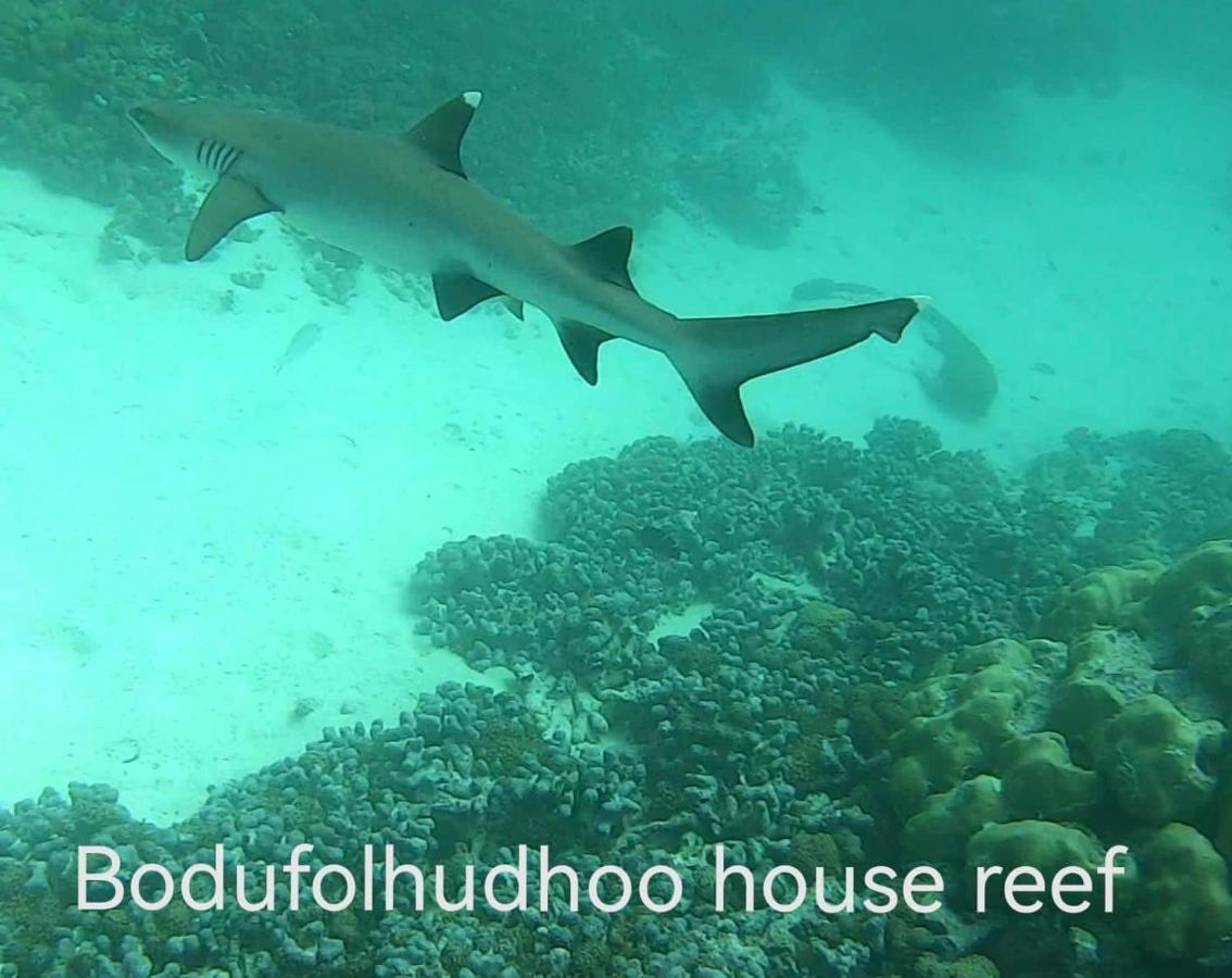 Surfretreat Hotel Bodufolhudhoo Exterior foto