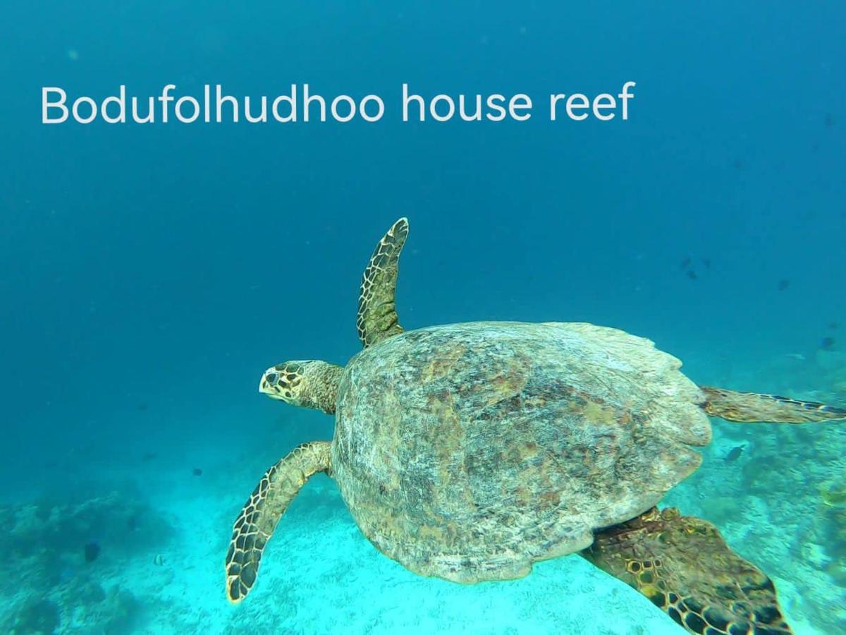 Surfretreat Hotel Bodufolhudhoo Exterior foto